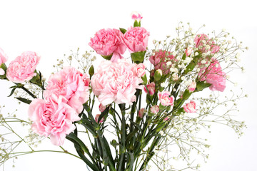 carnations and gypsophilia