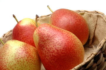 forelle pears