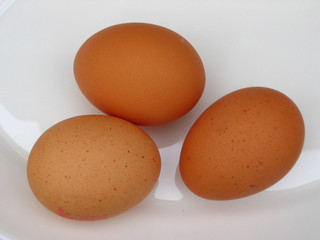 eggs