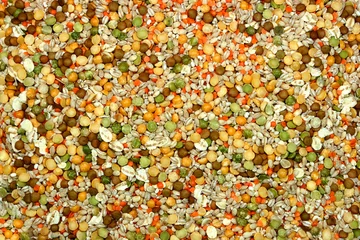 Tuinposter dried pulses © marilyn barbone