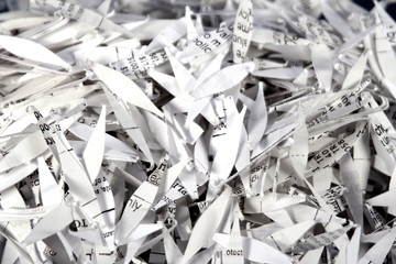 shredded paper 2