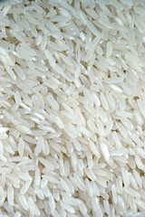 rice macro