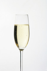 sparkling wine glass - sektglas