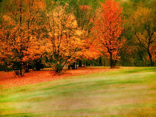 autumn