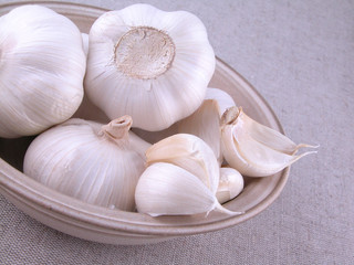 garlic
