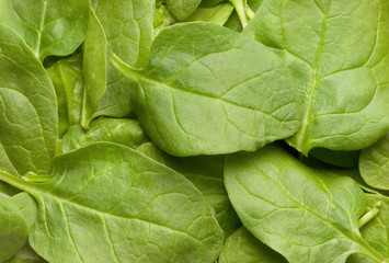 spinach © Jason Stitt