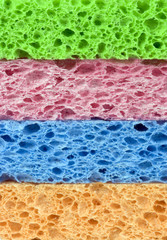 colored sponges
