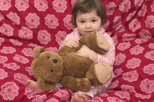 samira bear 2