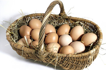panier d'oeufs