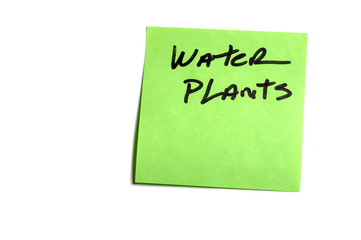 water plants