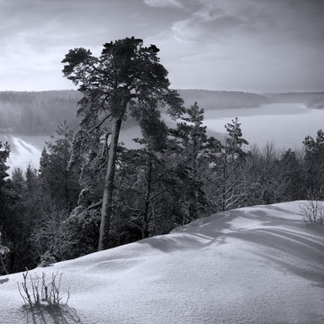 Fototapeta winter