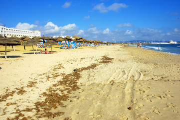 golden beach with seaweed