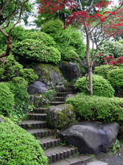 japanese garden in tokyo