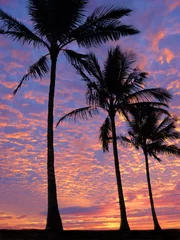 Crédence de cuisine en verre imprimé Mer / coucher de soleil beach at sunset
