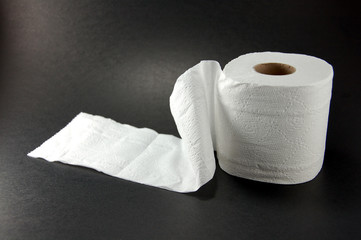 toilet roll