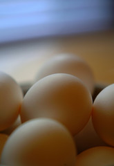 close up of eggs