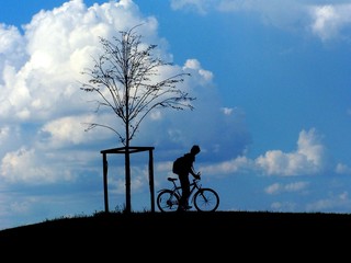 fahrrad