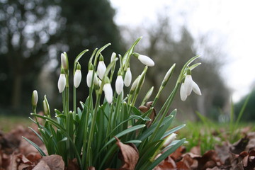 Fototapete bei efototapeten.de bestellen   