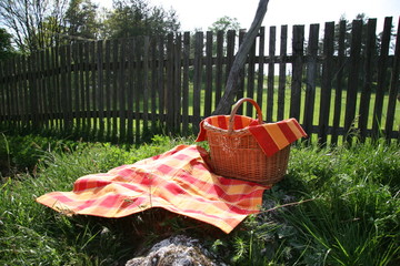 picnic
