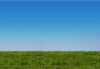 Fototapeta na wymiar background of sky and grass
