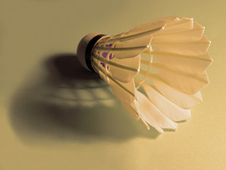 shuttlecock and shadow