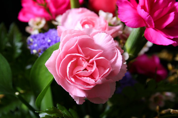 pink carnations