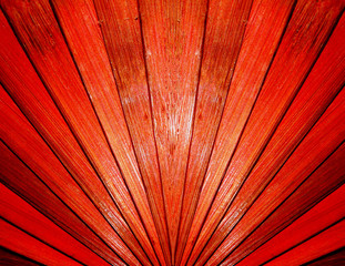 abstract texture - fan spread