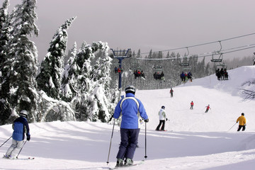skiing downhill
