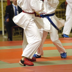karate