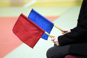 juge arbitre au karate