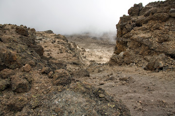 kilimanjaro 022 karango camp
