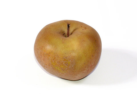 pomme canada (détourée)