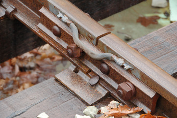 track