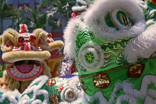 chinese lion dance