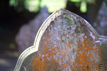 friedhof 12