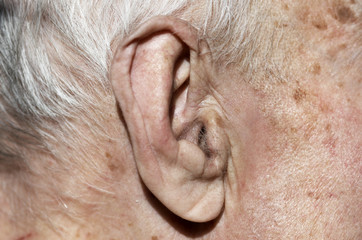 old  ear in macro