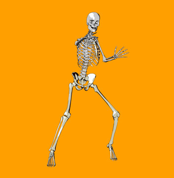 bone 68