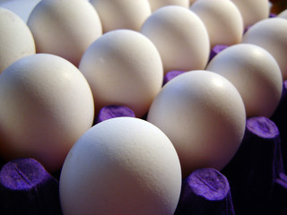 eggs 3