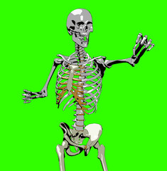 bone 154