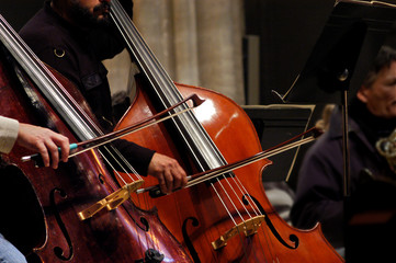 violoncels