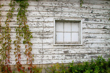 window and wall