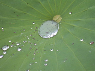 gota de agua