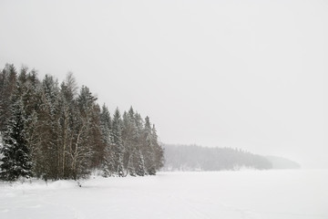 frozen lake with trees