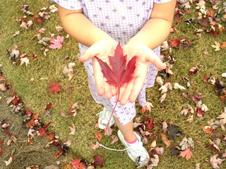 girl holding red leaf