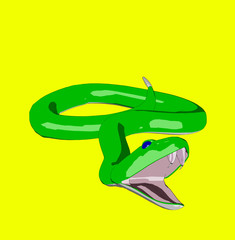snake 5