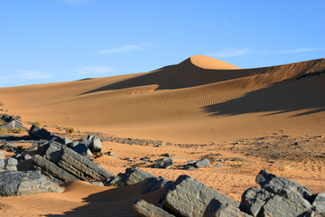 Fototapeta na wymiar u stóp na pustyni