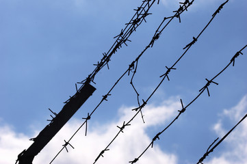 barbed wire