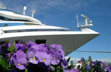 the yacht and the flowers