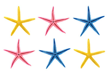 Fototapeta na wymiar starfish in different colors