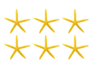 Fototapeta na wymiar yellow starfish against white background